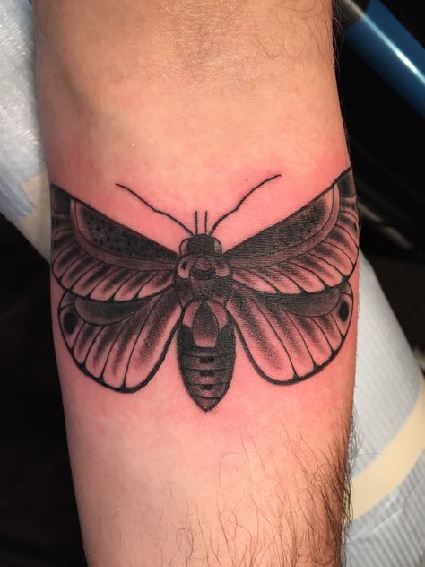 New moth tattoo by Melanie Wayland at Hangar 18 Moth Tattoo, Tattoos Ideas, Cool Tattoos, Moth, Flower Tattoo, Tattoos