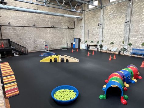 Party Rentals — Bosly's Backyard Dog Birthday Parties, Indoor Dog Park, Cognitive Activities, Animal Rescue Center, City Dog, Enrichment Activities, Gotcha Day, Mental Stimulation, Dog Birthday Party