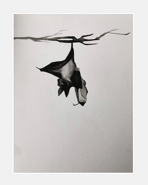 Watercolor On Paper, Bat, Water, On Instagram, Instagram, Black