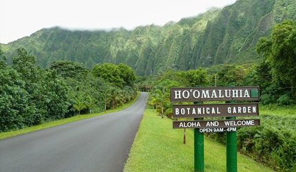 Discover what Hoomaluhia Botanical Gardens has to offer before hiking it's trail. Learn about this Hawaii trail, and also on how to get there. San Diego Botanic Garden, Montreal Botanical Garden, Oahu Vacation, Atlanta Botanical Garden, Chicago Botanic Garden, Desert Botanical Garden, Empire Romain, Vanity Ideas, Oahu Wedding