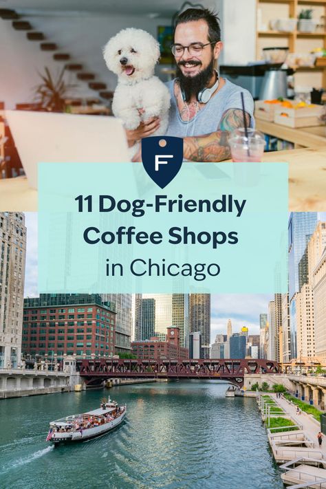 We're breaking down our favorite pet-friendly coffee shops and spots in Chicago - ready for a sip? Coffee Shops In Chicago, Honey Cafe, Chicago Dog, National Coffee Day, Pet Blog, Chicago Shopping, Pet Insurance, Travel Outfits, Popular Dog