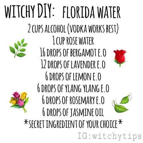 ✨ Witchy Tips ✨ (@witchytips) on Instagram: “DIY Florida Water! This is MY recipe, although their are many floating around... but the main…” Florida Water Recipe, Smudging Spray, Witchcraft Diy, Flavored Waters, Sales Ideas, Goddess Vibes, Smudge Spray, Witchy Tips, Inner Witch