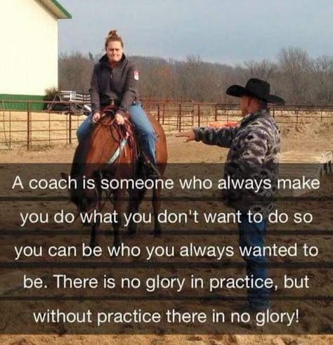 Horse Love Quotes, Equestrian Motivation, Horsemanship Quotes, Cute Horse Quotes, Trainer Quotes, Blue Roan Horse, Horses Tips, Funny Horse Quotes, Cowgirl Problems