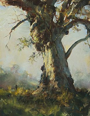 숲 사진, Drawing Trees, Gum Trees, Australian Painting, Painting Trees, Tree Paintings, Painting Competition, Old Trees, Art Landscapes