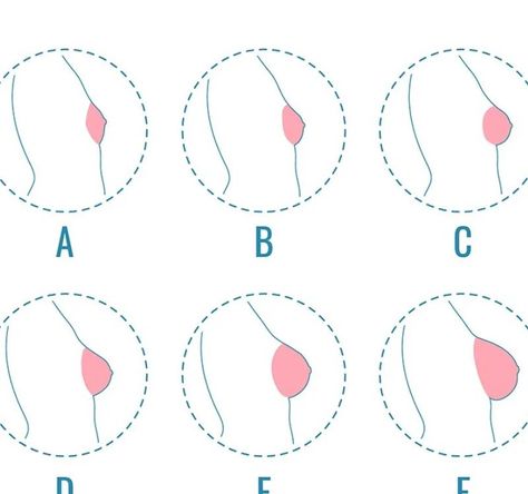 An illustration showing six breast shapes labeled A to F, depicting different sizes and profiles in side-view sketches. How To Grow Breast Size, How To Grow Your Breast, Breast Growth, Breast Health, Common Myths, Hormonal Changes, In A Nutshell, How To Grow