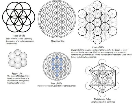 Stages of Sacred Geometry , seed of life , flower of life , fruit of life , egg of life , tree of life , metatrons cube www.orgonitecity.org Egg Of Life, Scared Geometry, Flower Of Life Tattoo, Healing Symbols, Sacred Geometry Patterns, Life Flower, Sacred Geometry Symbols, Metatron's Cube, Sacred Geometry Tattoo