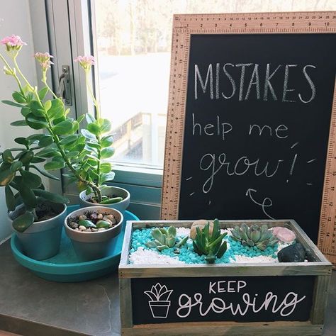 Garden Theme Classroom, Plants Classroom, Classroom Makeover, Classroom Decor Themes, 2nd Grade Classroom, Middle School Classroom, First Grade Classroom, New Classroom, Classroom Supplies