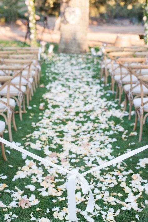 Diy Wedding Aisle Runner, Rose Petal Aisle, Ceremony Decorations Outdoor, Wedding Ceremony Decorations Outdoor, Wedding Runner, Wedding Isles, Aisle Runners, Rose Petals Wedding, Aisle Runner Wedding