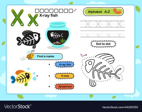 An Avian Alphabet, Fish Fonts Alphabet, Fish Alphabet Letters, Fishing For Letters Alphabet Game, Ocean Alphabet, Tracing Letters, X Ray, Business Names, Lettering Alphabet