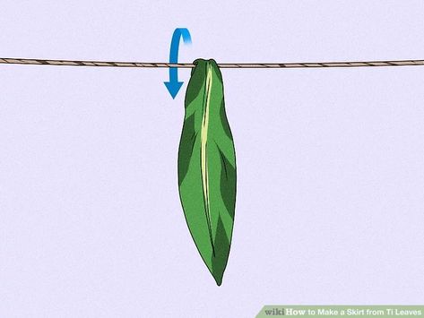 How to Make a Skirt from Ti Leaves: 9 Steps (with Pictures) Hula Girl Costume, How To Make A Skirt, Make A Skirt, Leaf Skirt, Hula Skirt, Grass Skirt, How To Make Skirt, Hula Girl, A Skirt