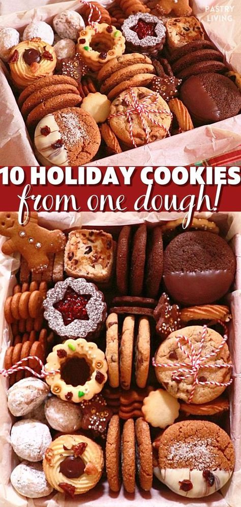 I'm sharing how to make 10 amazing Holiday cookies from just 1 dough. Make any cookie with this recipe for your homemade Holiday cookie box! Christmas Cookie Boxes, Christmas Cookie Recipes Holiday, Christmas Cookie Box, Christmas Cookies Gift, Christmas Cookie Recipes, Winter Cookie, Christmas Cookie Exchange, Make 10, Christmas Cookies Easy