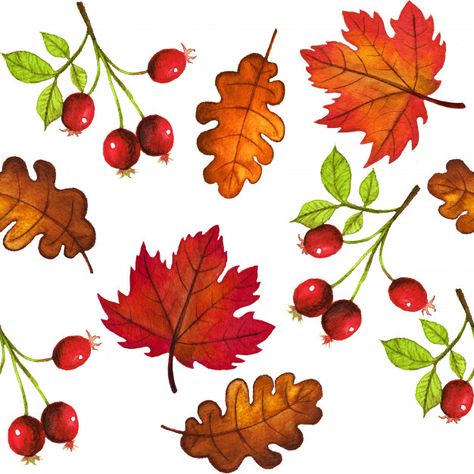 Autumn Aesthetic Leaves, Fall Berries, Watercolour Leaves, Autumn Berries, Floral Tree, Deer Tattoo, Glass Painting Designs, Birthday Card Craft, Pattern Watercolor