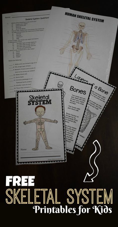 FREE SKeletal System for Kids Worksheets perfect for learning bones for kids and about human body activities for kids, homeschool, first grade, 2nd grade, 3rd grade, 4th grade, 5th grade, 6th grade, science Body Systems Worksheets, Human Body Printables, Skeletal System Worksheet, Human Body Worksheets, Human Skeletal System, Human Body Projects, Free Human Body, Senses Preschool, Human Body Science