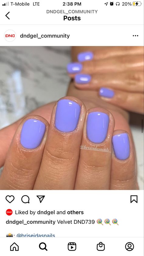 April Dip Nails Ideas 2024, Periwinkle Purple Nails, Spring Dip Nails 2024 Trends, Trendy Spring Nails Solid Color, Purple Dip Powder Nails, Spring Nail Color Ideas, Spring Dip Powder Nails, May Nail Colors, Purple Pink Nails