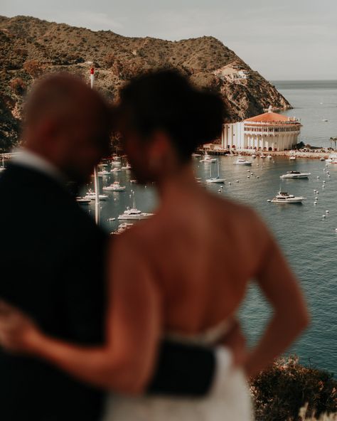 Melissa + Nick's Catalina Island Wedding — alexandra wallace | photographer Catalina Island Wedding, Avalon Catalina Island, San Luis Obispo Wedding, Wedding 2025, Catalina Island, Island Wedding, Island Weddings, Fashion Portrait, San Luis Obispo