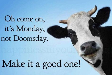 Happy Monday Y'all - Here Are The Best Memes to Start Off the Week With - Funny Gallery Monday Fitness Quotes, Monday Inspirational Quotes, Funny Good Morning Images, Happy Monday Quotes, Happy Monday Morning, Monday Humor Quotes, Happy Quotes Funny, Good Monday Morning, Monday (quotes)