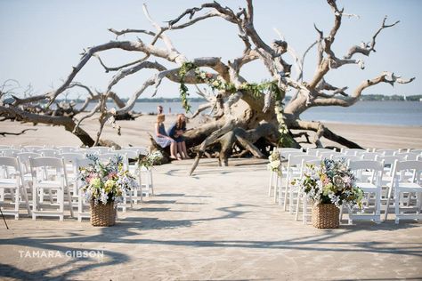 Villas by the Sea Resort Jekyll Island Weddings Georgia Coast Wedding… Wedding Reception At Home, Georgia Beaches, Jekyll Island Georgia, Georgia Coast, Georgia Wedding Venues, Sea Resort, Driftwood Beach, Jekyll Island, Wedding Beach Ceremony