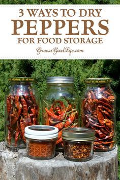 Dehydrating Herbs, Preserve Peppers, Dry Peppers, Pepper Harvest, Garden Peppers, Dehydrated Recipes, Dehydrating Food Storage, Hot Pepper Recipes, Food Dehydration