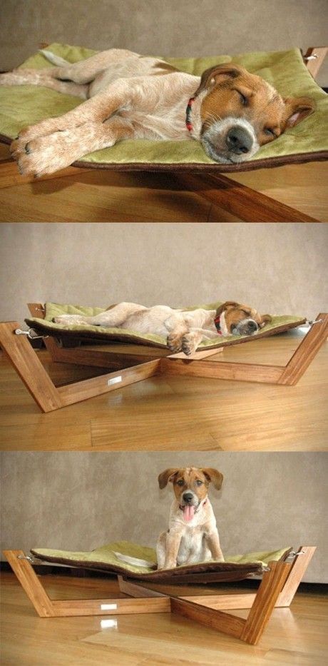 Love this dog hammock Creative Dog Bed, Katt Diy, Train Dog, Designer Dog Beds, Pet Ideas, Dog Furniture, Dog Ideas, Diy Dog, Dog Kennel