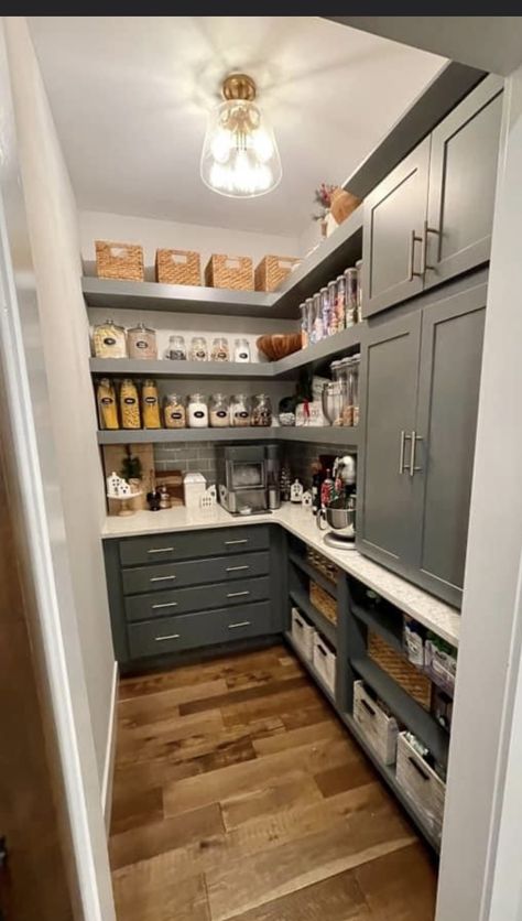 Small Walking Pantry Ideas, Pantry With Built Ins, Pantry Upper Cabinet Ideas, Walk In Pantry With Drawers, Fun Pantry Ideas, Pantry With Upper Cabinets, Narrow Walk In Pantry Ideas, Pantry Colors Walk In, Pantry Base Cabinet