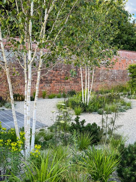 Karl Forester, Garden Atrium, Birch Trees Garden, Limestone Gravel, Modern Planting, English Landscape Garden, Modern English Country, Clay Pavers, Garden Site