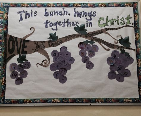 Grape vine bulletin board idea. Great for small school or your class Grapes Bulletin Board, I Am The Vine You Are The Branches Bulletin Board, Fruit Bulletin Board Ideas, Vine Bulletin Board, Fruit Basket Diy Gift, Bulletin Board Sayings, Spiritual Activities, Christmas Bulletin Boards, Christian Bulletin Boards