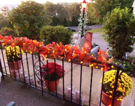 fall church decorations wedding | fall railing decorations - church or reception | Wedding Ideas Fall Church Decorations, Harvest Festival Decorations, Elegant Fall Decor, Church Wedding Decorations, Railings Outdoor, Apartment Balconies, Cool Apartments, Fall Outdoor, Terrace Garden