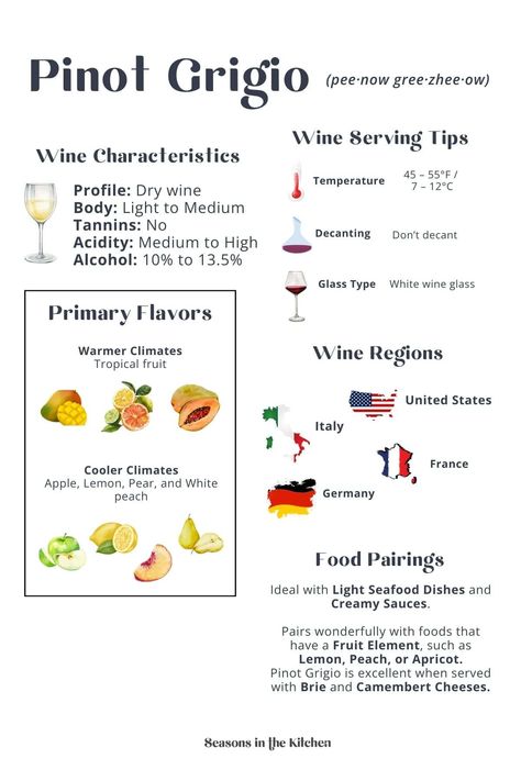 Learn about Pinot Grigio’s light flavors, food pairings, and regions. Ideal for white wine lovers! Pop over to our site to learn more! Best Wine For Beginners, Wine For Beginners, Sauvignon Blanc Wine, Dry Wine, Serving Wine, Pinot Gris, Best Wine, Alcohol Content, Dry White Wine