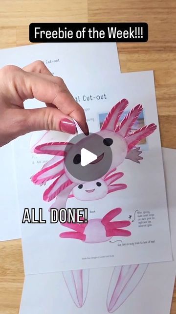 Axolotl Art Project, Diy Axolotl Crafts, Easy Axolotl Drawing, Axolotl Crafts For Kids, Draw An Axolotl, Mexico Activities, Axolotl Care, Axolotl Cute, Style Writing