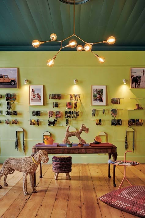 The House of Chommies – a Pet Atelier in the Heart of Cape Town | VISI Beauty Shop Design, Dog Boutique Ideas, Female Architect, Grooming Room, Pet Store Design, Pet Store Ideas, Grooming Salons, Pet Cafe, Pet Grooming Salon