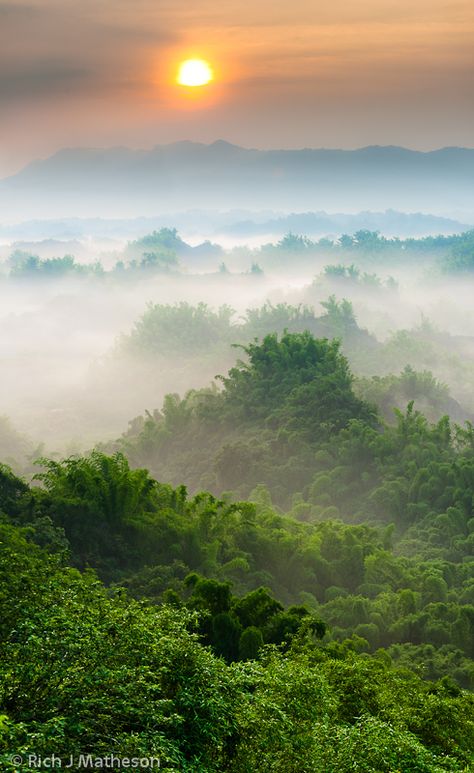 Moonworld Sunrise, Erliao, Tainan, Taiwan Taiwan Nature, Forest Sunrise, Tainan Taiwan, Kenting, Natural Forest, Sunrise Pictures, Forest Canopy, Taiwan Travel, Tainan