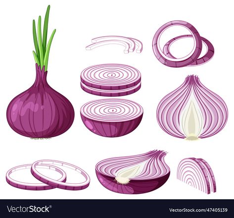 Allium Hair, Onion Cartoon, Onion Art, Onion Drawing, Cook Illustration, Mysore Painting, Food Illustrations, Cartoon Illustration, Red Onion