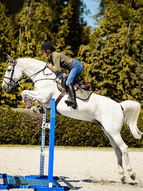 Jump Horse Care & Training Equipment Horse Jumping Photography, Training Equipment, Horse Jumping, Riding Outfit, Horse Care, Horse Tack, Dressage, Equestrian, Bicycle