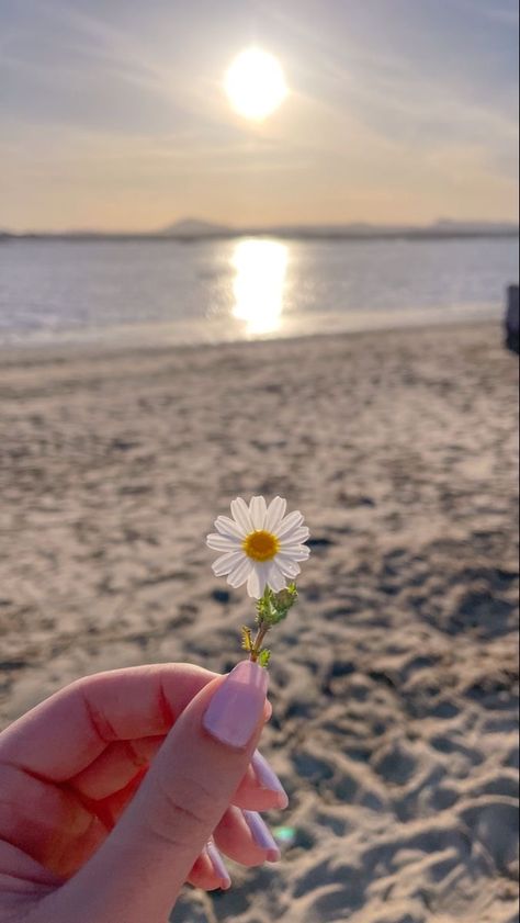 Photos Astethic, Aesthetic Contact Photos, Nature Astethic, Phone Astethic, Peace Wallpaper Aesthetic, Beach Astethic, Primavera Aesthetic, Sunset Daisy, May Pictures