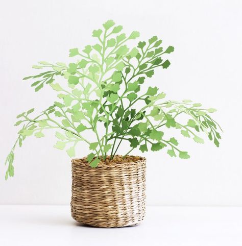 16 DIY Paper Plants to Make Your Indoor Garden a Reality | Brit + Co Maidenhair Fern, Plants Leaves, Chinese Money Plant, Plant Projects, Paper Plants, Fern Plant, Diy Plants, Fake Plants, Paper Sculpture