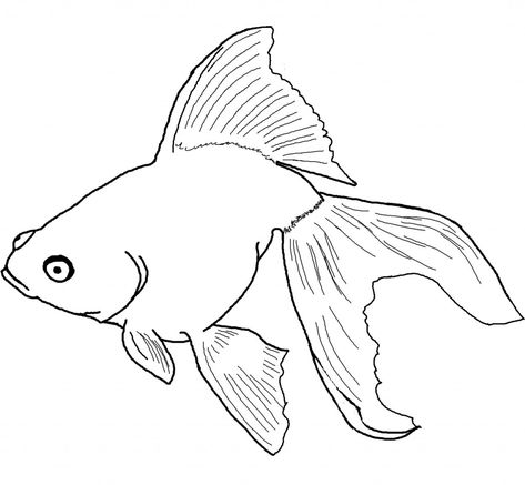 Free Printable Goldfish Coloring Pages For Kids Rainbow Fish Coloring Page, Printable Fish, Plastic Fou, Fish Printables, Fish Coloring, Fish Coloring Page, Rainbow Fish, Fish Drawings, Clipart Black And White