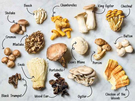 A Home Cook's Guide to All the Types of Mushrooms to Know Edible Wild Mushrooms, Types Of Mushrooms, Edible Fungi, Salmon Potato, Waffle Cookies, Lunch Appetizers, Lasagna Pasta, Edible Mushrooms, Rice Ingredients