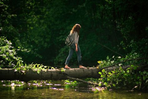 Parkour, Nature Aesthetic, Photography Inspo, Bald Eagle, Happy Places, Dream Life, Aesthetic Pictures, Summer Vibes, Persona