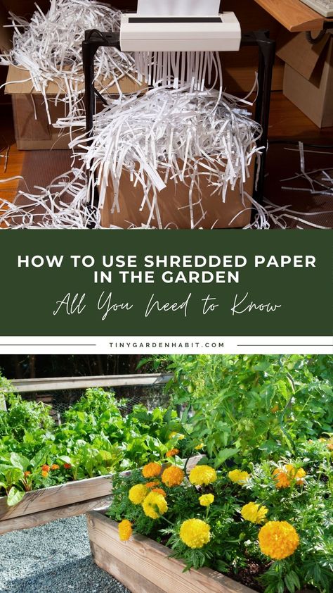 Uses For Shredded Paper, Shredded Paper Uses, Seed Starting Setup, Seed Starting Containers, Garden Setup, Types Of Mulch, Kinds Of Vegetables, Garden Hacks, Seed Germination