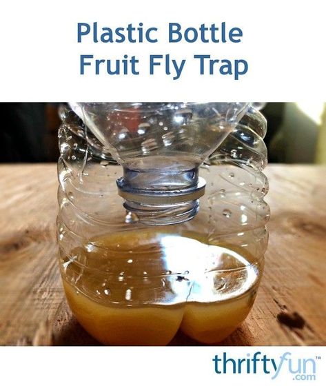 “We have tried many things to get rid of fruit flies in our home, and this is hands down the easiest, cheapest, and most effective way. One of the most important things in order to catch them is the bait you put out. Fruit flies can be more attracted to some things more than others, whether it's vinegar, bread, actual fruit, and so on. After lots of testing here, we've found ours love a concoction of rice wine vinegar and juice from an overripe lemon. ” How To Catch Flies, Home Remedies For Flies, Fly Remedies, Homemade Gnat Trap, Catch Fruit Flies, Fruit Flies In House, Fruit Fly Trap Diy, How To Get Rid Of Gnats, Natural Cleaning Products Diy