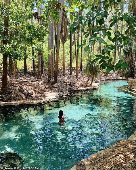 Aussie travellers rediscover healing blue waters of Mataranka Thermal Pools in Elsey National Park | Daily Mail Online Thermal Pool, Swimming Hole, Thermal Spring, Swimming Holes, Northern Territory, Beautiful Scenery Nature, Turquoise Water, Tropical Vibes, Blue Water