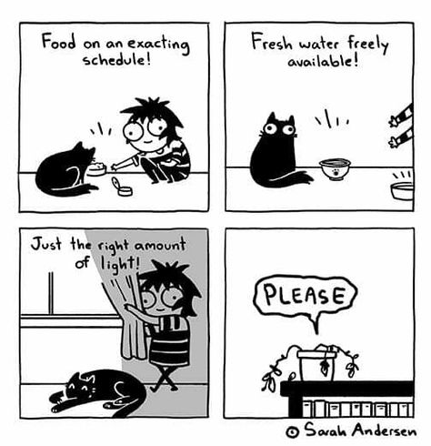 Web Comics Funny, Sarah Anderson Comics, Sarah's Scribbles, Sarah Andersen, Sarah Anderson, Funny Memes Images, Farm Stuff, Work Quotes Funny, Funny Comic