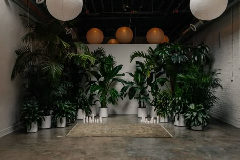 Tropical Potted Plant Ceremony Plant Backdrop Wedding, Indoor Plant Wedding Decor, Wedding Arch Potted Plants, Greenery Wedding Ceremony, Indoor Plants Wedding Decor, Plant Backdrop, Wedding Decor Live Plants, Potted Plants Wedding Backdrop, Modern Botanical Wedding