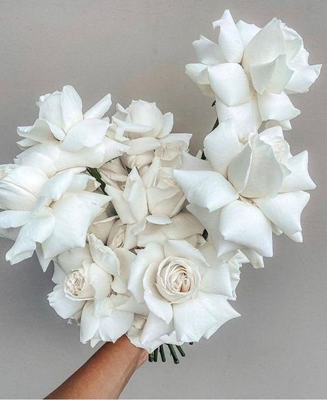 Made with Love Bridal on Instagram: “White rose loving 🤍✨ // what blooms are you having on your big day?” Elegant White Wedding, Made With Love Bridal, White Bridal Bouquet, White Wedding Bouquets, Sunday Evening, Floral Inspiration, Wedding Mood, Bride Bouquets, Bridal Flowers