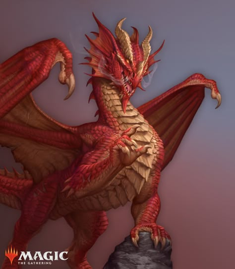 Big Dragon, Fantasy Dragons, Dragon Tales, Dnd Dragons, Dragon Stuff, Fantasy Beasts, Dragon Pictures, Fantasy Monster, Dnd Art