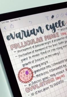 Notes On Notability, Notability Aesthetic Notes, Writing Notes On Ipad, Aesthetic Notes Good Notes, Ovarian Cycle Notes, Pretty Notes On Ipad, Ipad Notes Notability, Notability Notes Aesthetic, Aesthetic Notability Notes