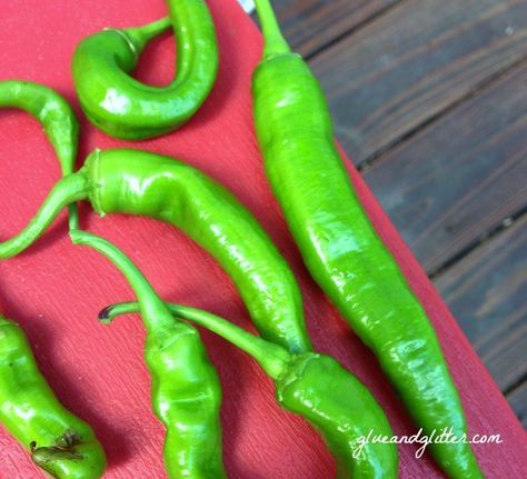 No Cook Hot Sauce Recipe Green Hot Sauce, Hot Peppers Plants, Hot Sauce Recipe, Growing Peppers, Hot Sauce Recipes, No Cook, M&m Recipe, Hot Pepper Sauce, Best Shakes