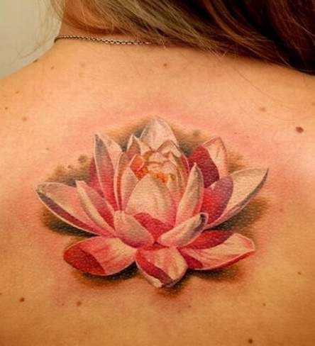 flower tattoo Frangipani Tattoo, Water Lily Tattoos, Tattoo Lotus, Lily Flower Tattoos, Lotus Tattoo Design, Beautiful Flower Tattoos, Lily Tattoo, Arrow Tattoos, Lotus Tattoo