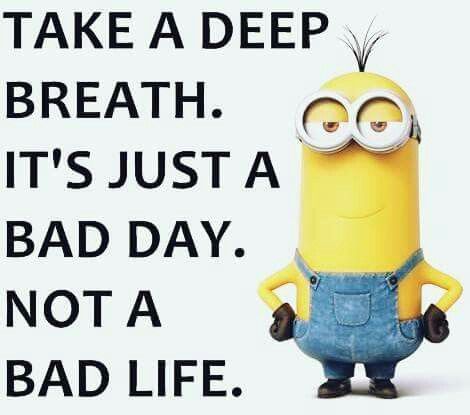 Just a bad day. Not a bad life Just A Bad Day, Loving Mother, Fun Sayings, Minion Pictures, Minion Jokes, Minions Love, Cute Minions, A Minion, Bad Life