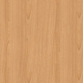 Textures Texture seamless | Light beech wood end seamless texture 16490 | Textures - ARCHITECTURE - WOOD - Fine wood - Light wood | Sketchuptexture Wood Paneling Update, Student Accomodation, Light Wood Texture, Wood Texture Seamless, Veneer Texture, Harvest Market, Textures Architecture, Material Ideas, Floor Stain